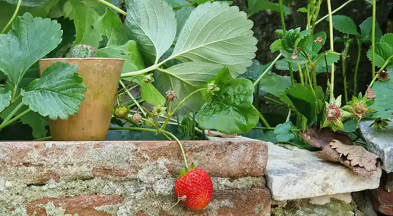 Sky Room Carrara Hydromassage mit Parkplatz