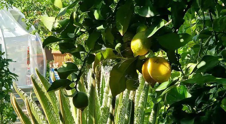 Sky Room Carrara Hydromassage mit Parkplatz