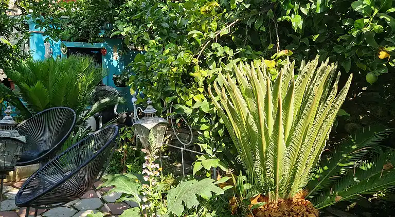 Sky Room Carrara Hydromassage mit Parkplatz