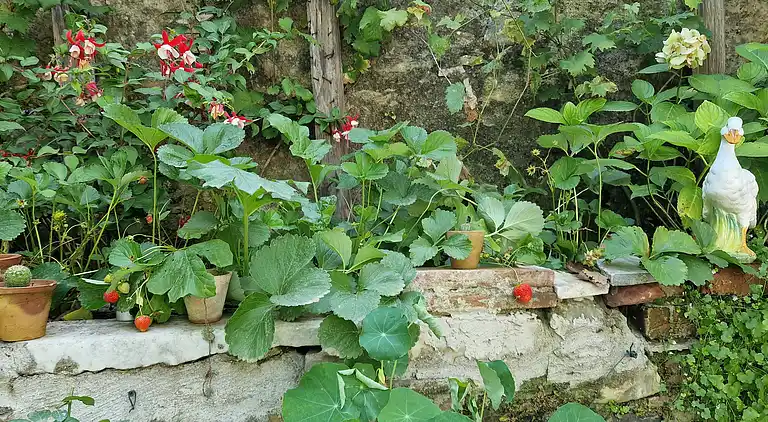 Sky Room Carrara Hydromassage mit Parkplatz