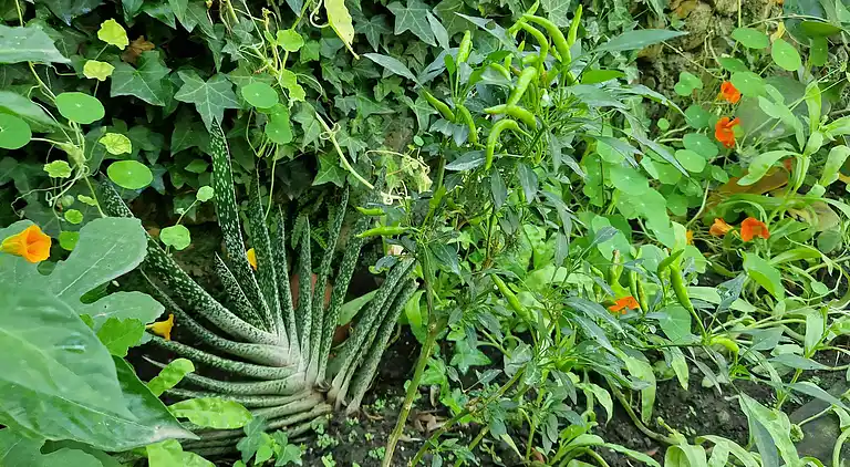 Sky Room Carrara Hydromassage mit Parkplatz