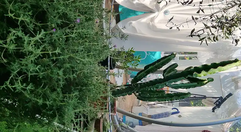 Sky Room Carrara Hydromassage mit Parkplatz