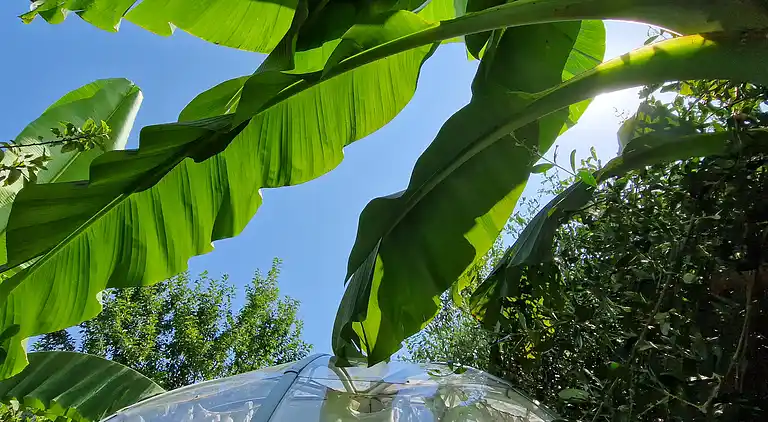 Sky Room Carrara Hydromassage mit Parkplatz