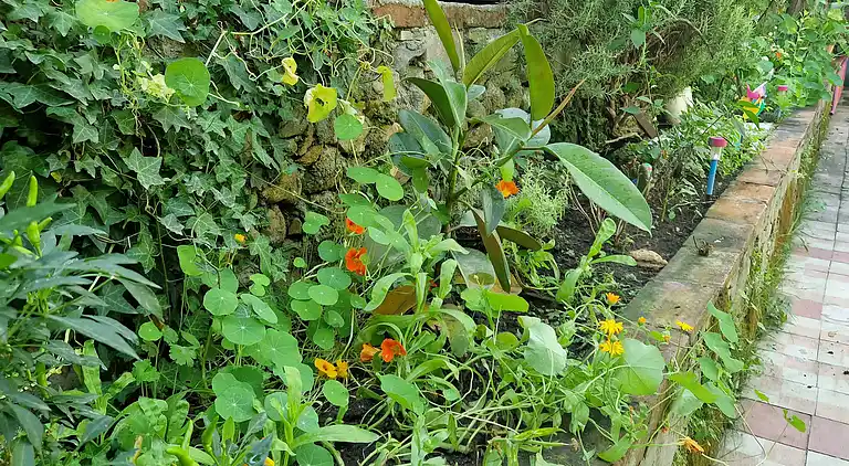 Sky Room Carrara Hydromassage mit Parkplatz