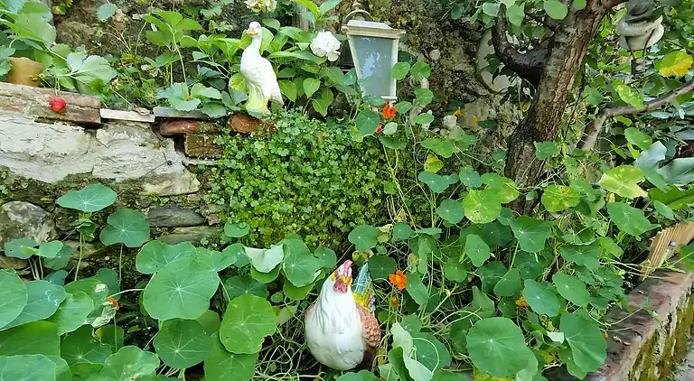 Sky Room Carrara Hydromassage mit Parkplatz