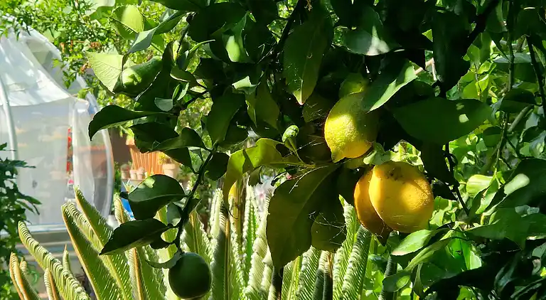 Sky Room Carrara Hydromassage mit Parkplatz