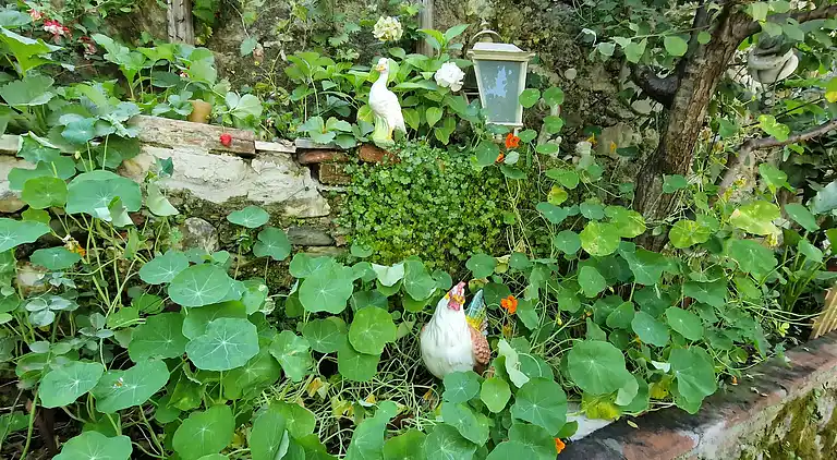 Sky Room Carrara Hydromassage mit Parkplatz