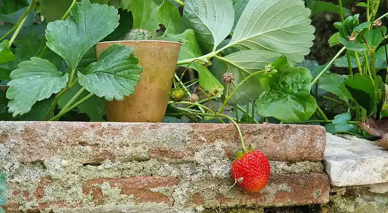 Sky Room Carrara Hydromassage mit Parkplatz