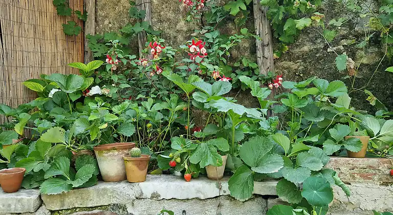 Sky Room Carrara Hydromassage mit Parkplatz