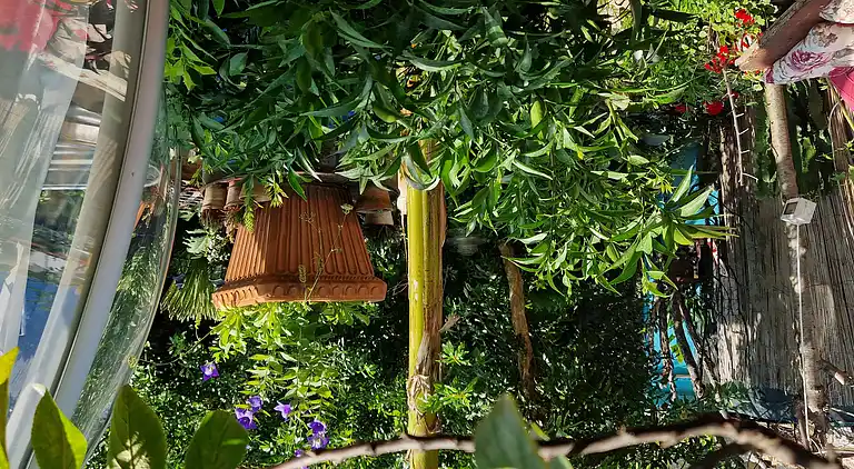 Sky Room Carrara Hydromassage mit Parkplatz