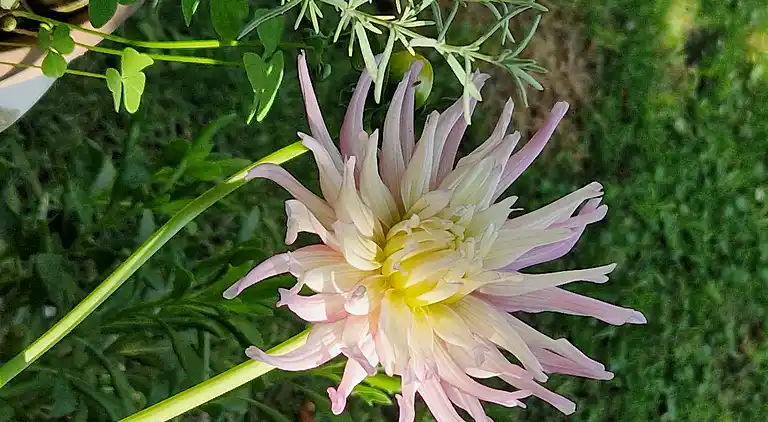 Sky Room Carrara Hydromassage mit Parkplatz