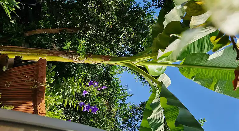 Sky Room Carrara Hydromassage mit Parkplatz