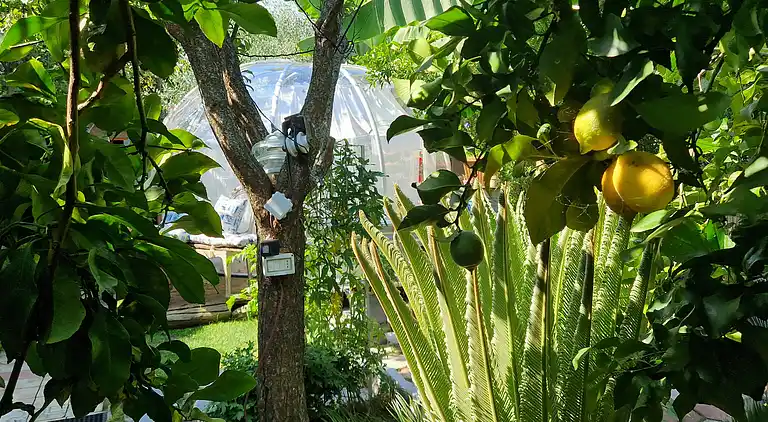 Sky Room Carrara Hydromassage mit Parkplatz