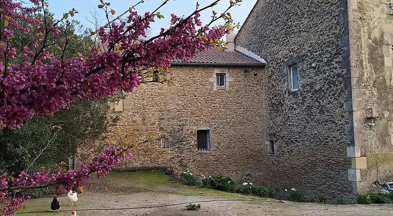 Fannys Ferienhaus Moulin de Tartay Avignon