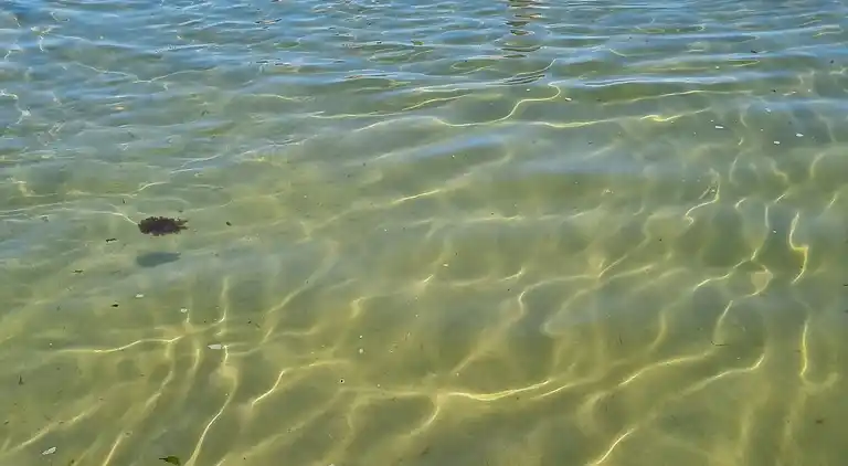 Schönes Ferienhaus in Allinge für 6 Gäste