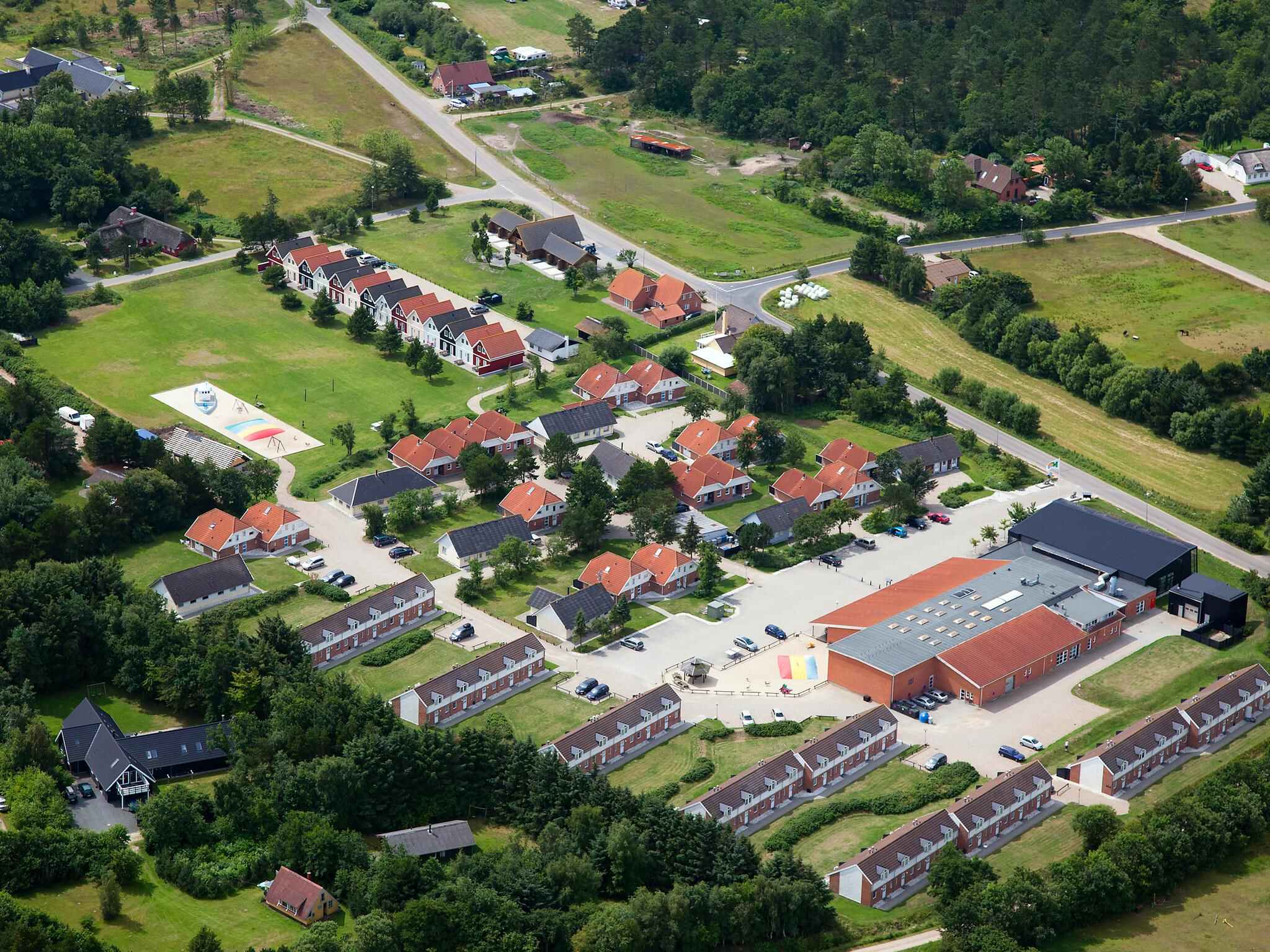 Large Image