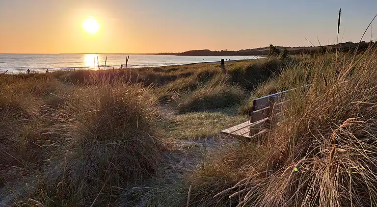 Sommerhus med spa og tæt på Sommerland Sjælland