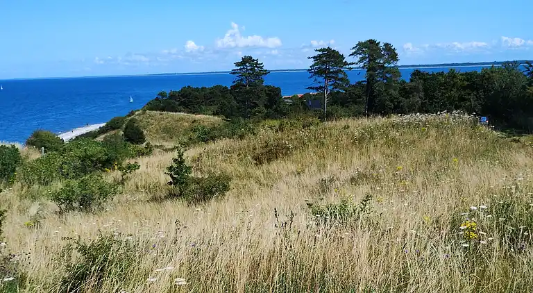 Hyggelig Ferieoase for To 600 m fra strand