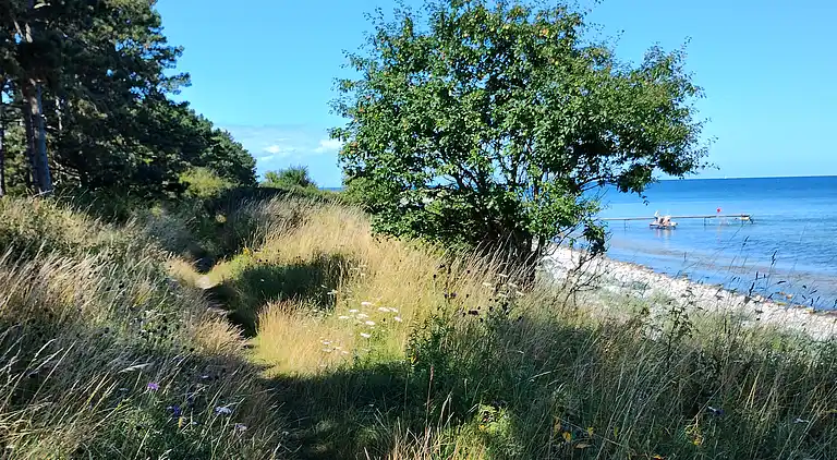 Hyggelig Ferieoase for To 600 m fra strand