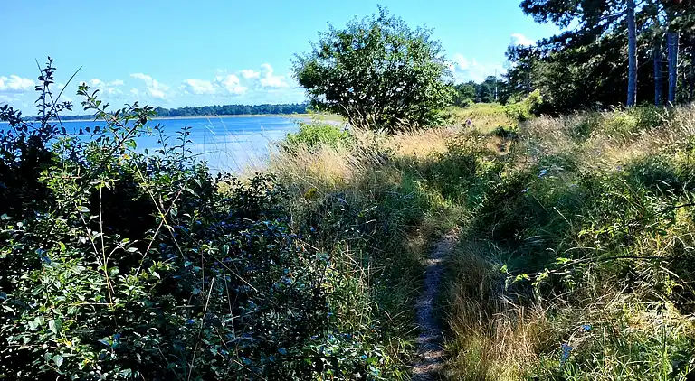 Hyggelig Ferieoase for To 600 m fra strand