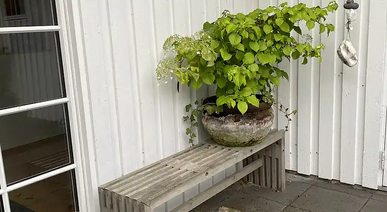 Idyllisch gelegenes Holzhaus an Wald und See