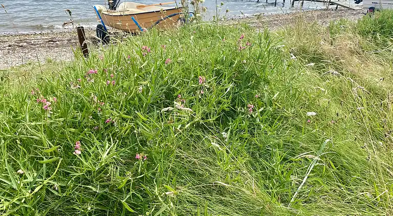 Schönes Ferienhaus in der Nähe des Limfjords