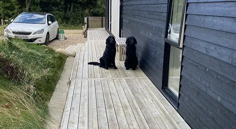 Schönes Ferienhaus in der Nähe des Limfjords