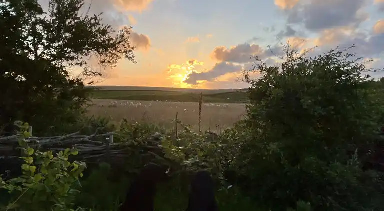 Schönes Ferienhaus in der Nähe des Limfjords