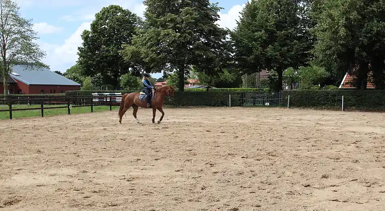 Apartment in Strackholt