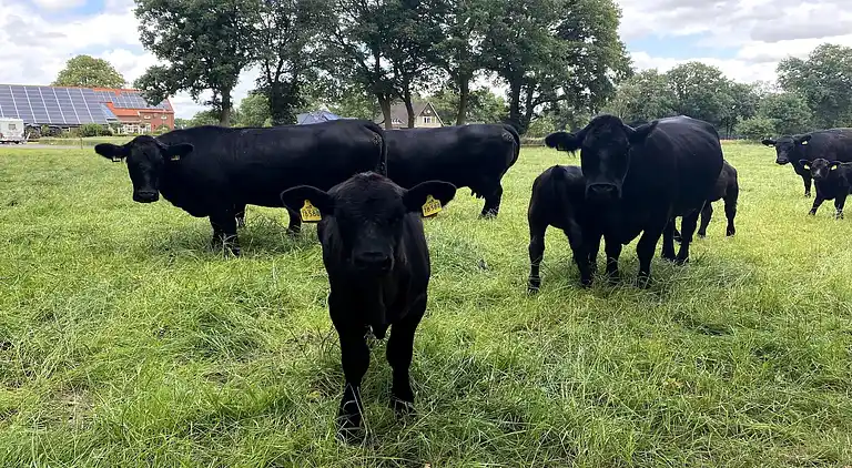 Apartment in Strackholt