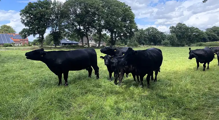 Apartment in Strackholt