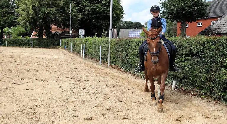 Apartment in Strackholt