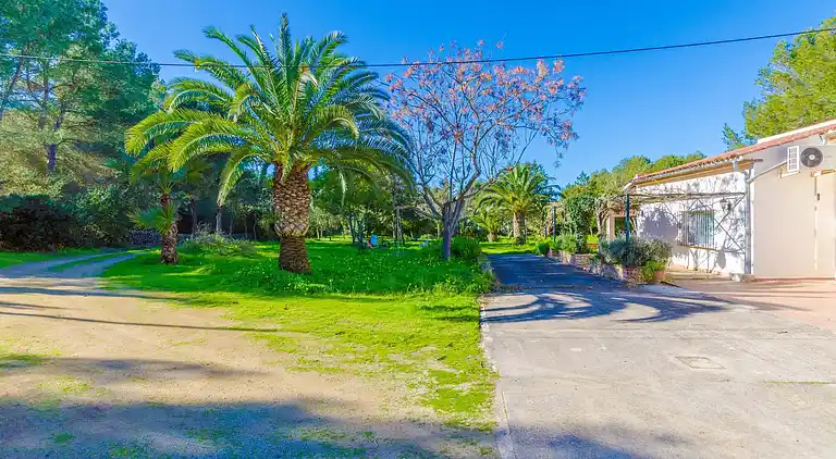 Sommerhus i Ses Covetes