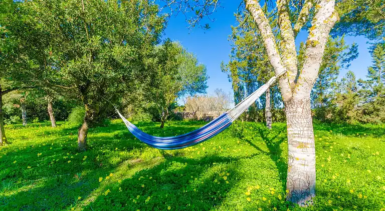 Sommerhus i Ses Covetes