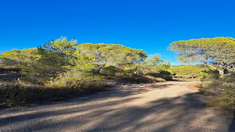 Ferielejlighed i Pinar de Campoverde