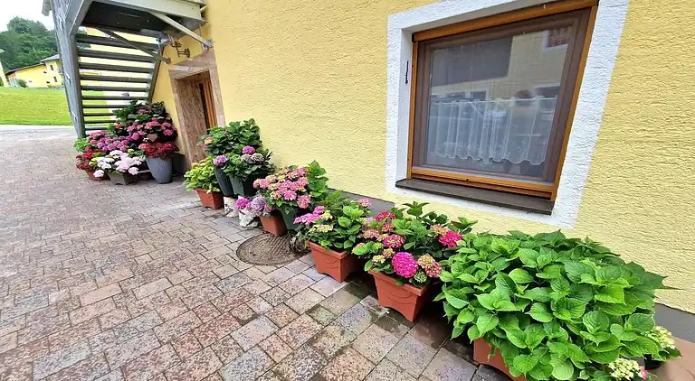 Apartment in Wurdach