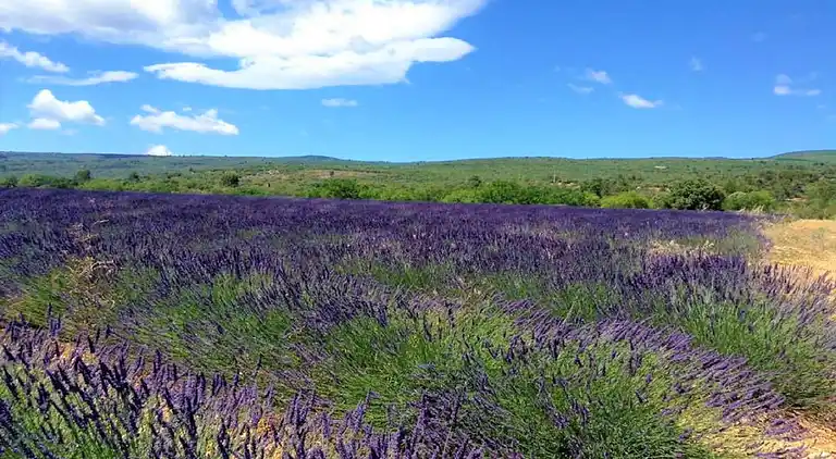 Holiday home in Roaix