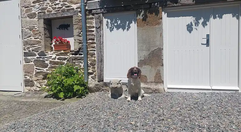 Holiday home in Châteauneuf-la-Forêt