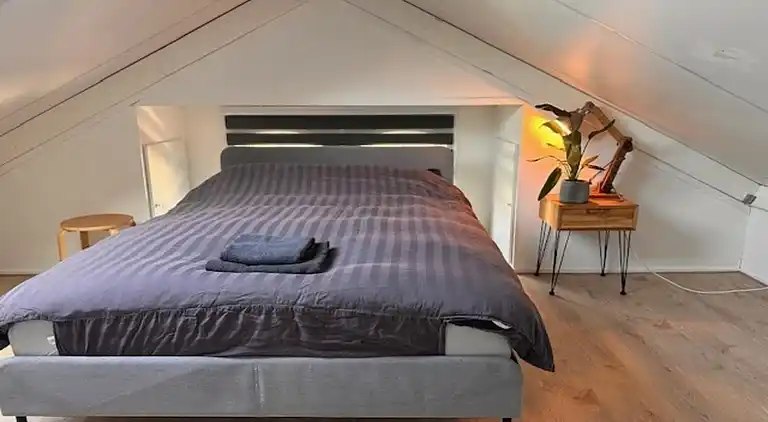 Vakantiehuis in Voorthuizen