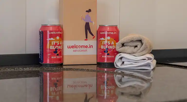 Sommerhus i Zoutelande