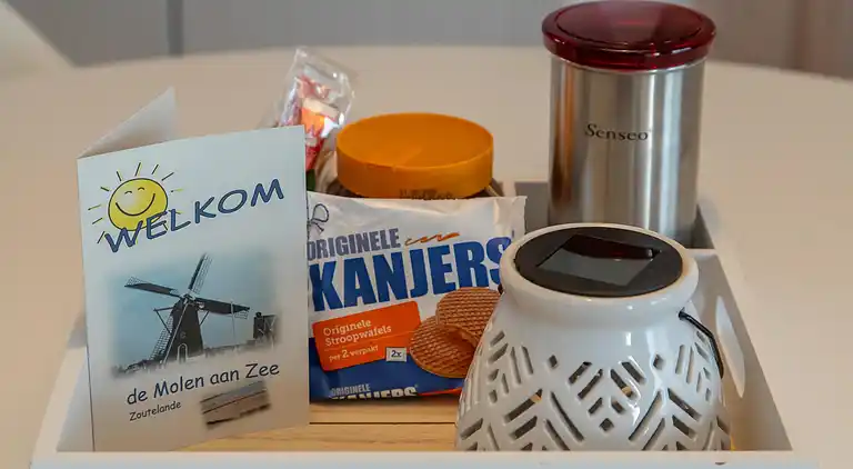 Sommerhus i Zoutelande