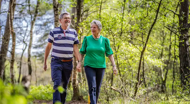 Vakantiehuis in Hoenderloo