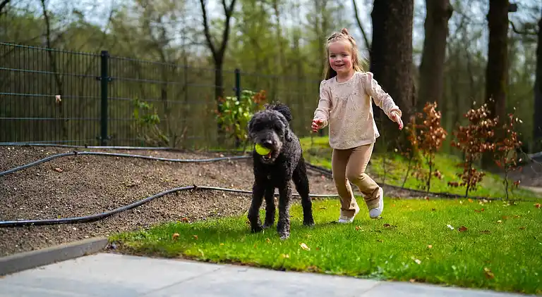 Vakantiehuis in Hoenderloo