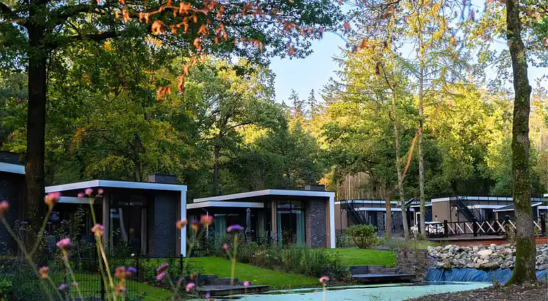 Vakantiehuis in Hoenderloo