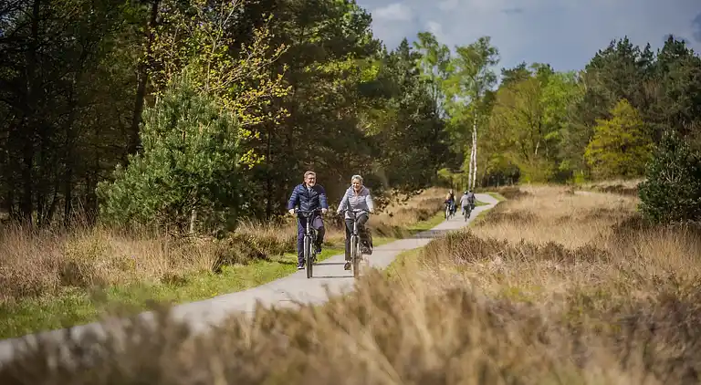 Vakantiehuis in Hoenderloo