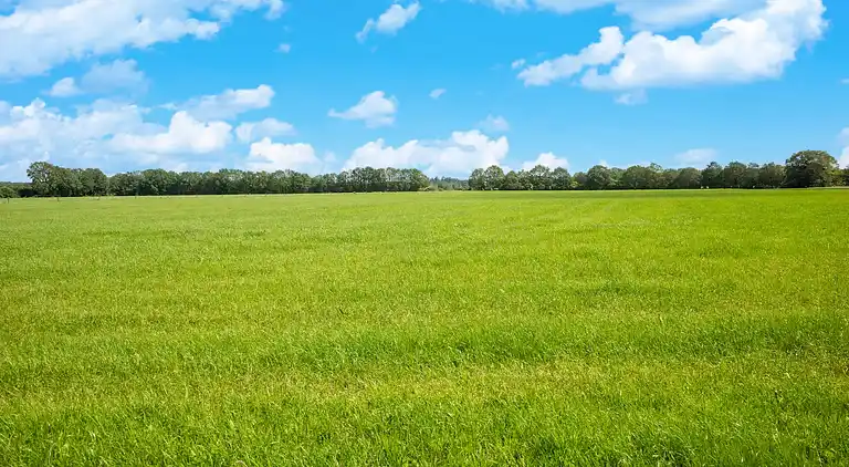 Vakantiehuis in Hattemerbroek