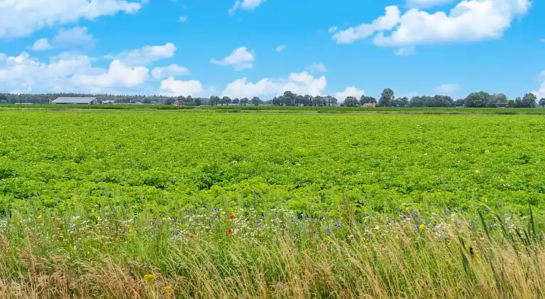Vakantiehuis in Hattemerbroek