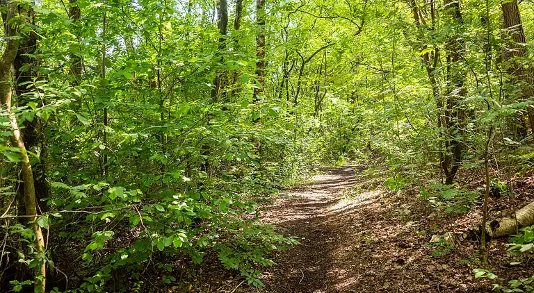 Vakantiehuis in Hattemerbroek