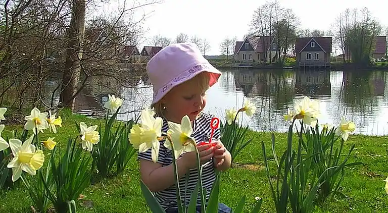 Sommerhus i Westerbork