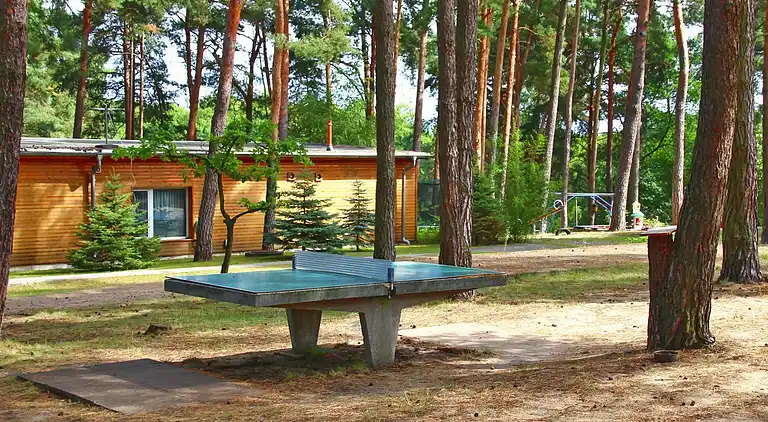 Bungalow in Dobbrikow